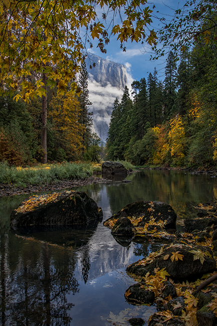 Yosemite, Sierra, mountains, yosemite valley, fall, merced river, merced, water, maples, fall color, fall, reflection, el capitan...