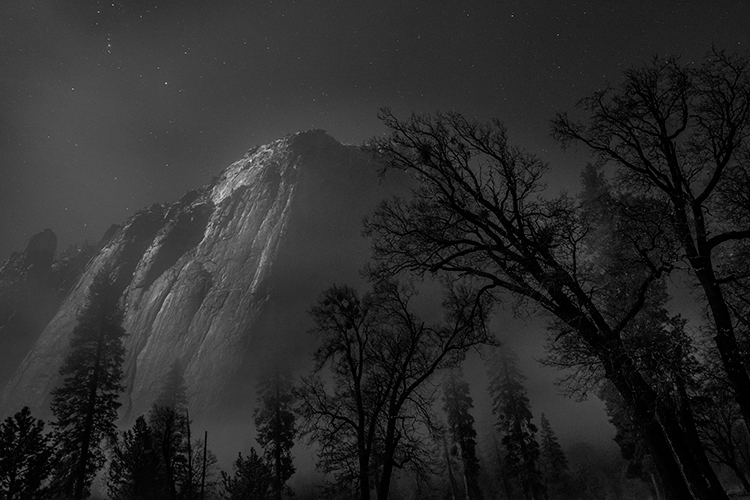Yosemite, California, Ca, Sierra, valley, Yosemite national park, black oak, el Capitan meadow, black white, meadow, el capitan...