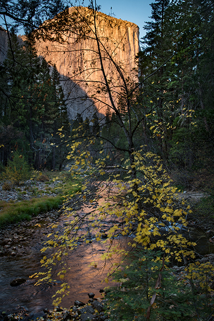 yosemite, national park, sierra, valley, fall, trees, merced, flora, mountains, leaves, ca, colors, dogwoods, merced river, merced...