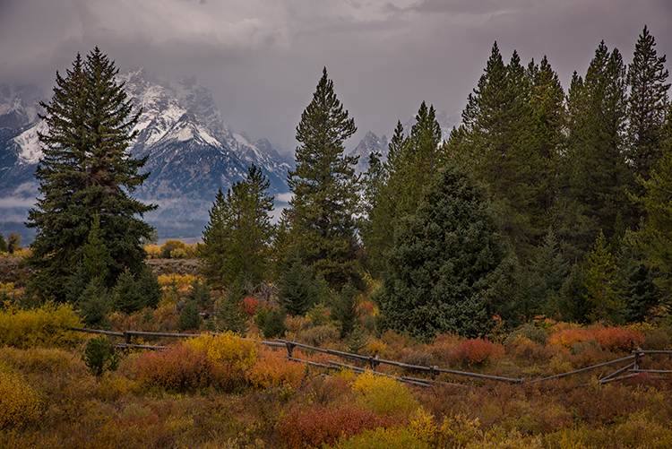 grand teton national park, tetons, snake river, snake, river, mountains, trees, water, color, aspens, clouds, fog, dawn, atmospherics...