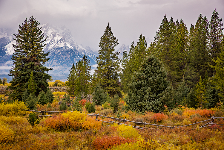 grand teton national park, tetons, snake river, snake, river, mountains, trees, water, color, aspens, clouds, meadows, fall...