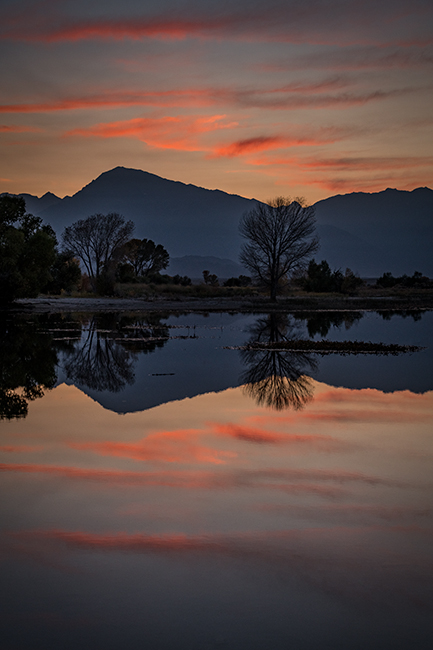 eastern sierra, sierra, aspens, bishop, fall, ca, california, trees, water, mountains, fall colors, fall colors, sunset, farmers...