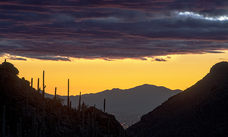 az, arizona, cactus, cacti, saguaro, national, park, tucson, sunset, sunrise, mountains, desert, sonora, wildflowers, spring...