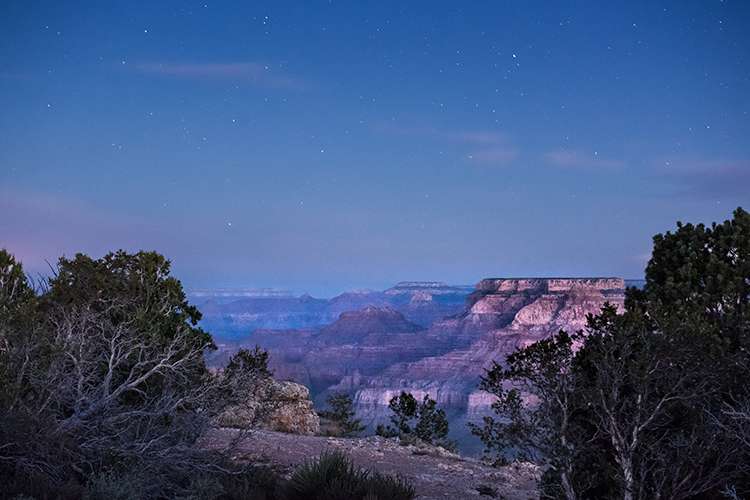 Grand Canyon, stars, Arizona, AZ, colorado river, southwest, west, sunrise, predawn, south rim