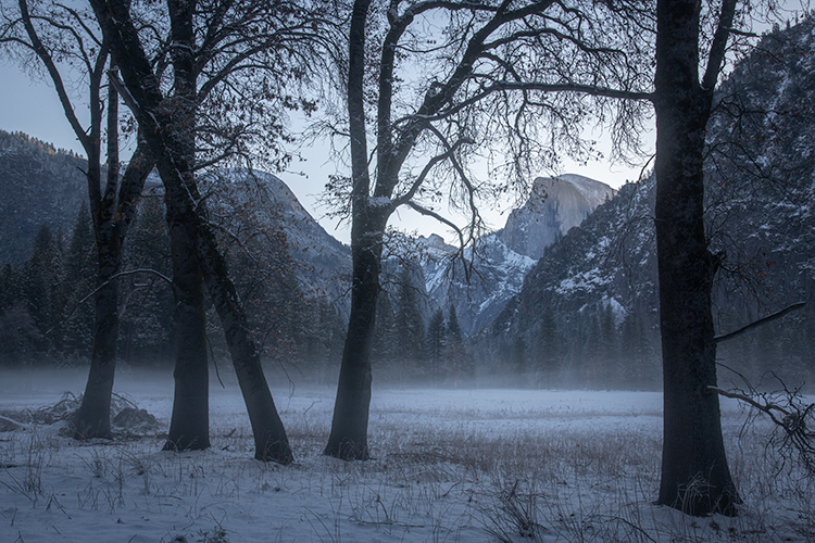 yosemite, national park, ca, california, mountains, sierra, water, half dome, valley, sunrise, snow, winter, colors flora, trees...