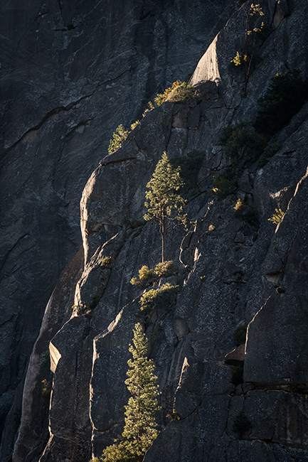 Yosemite, California, Ca, Sierra, valley, Yosemite national park,  el capitan, trees, sunset, horsetail falls, water, clouds...