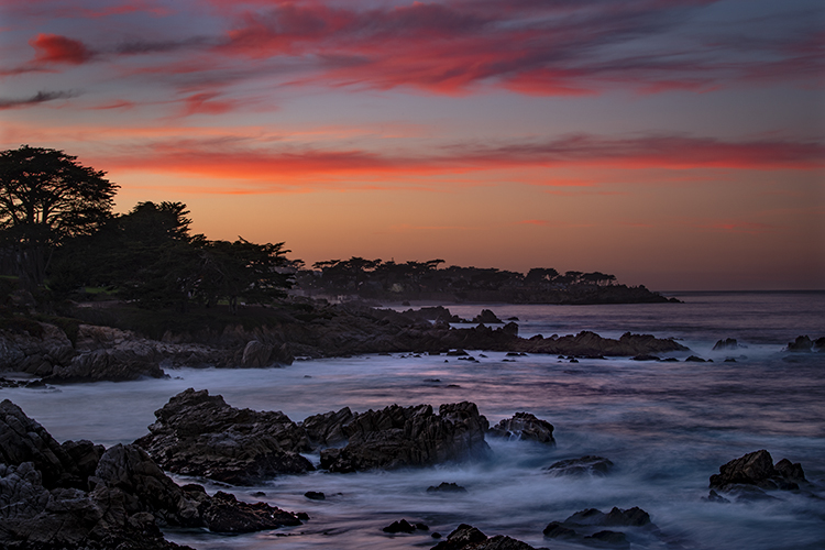 monterey, bay, ca, california, sunset, water, ocean, pacific, flora, aloes, aloe, cypress, sunrise, surf, rocks, coastline, coast...