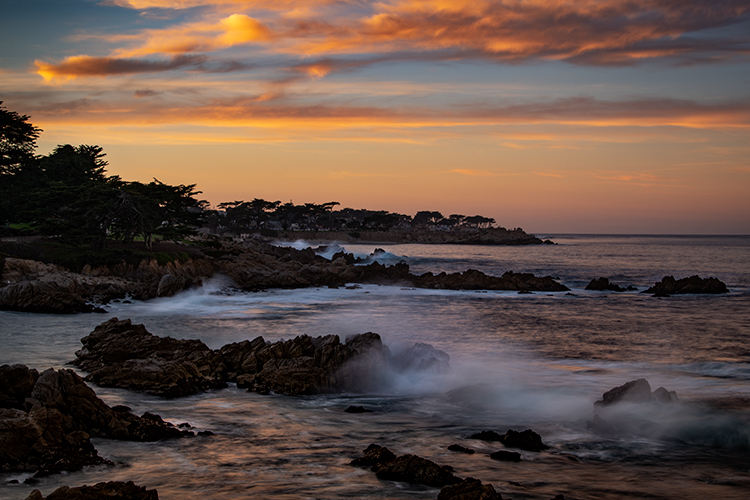 monterey, bay, ca, california, sunrise, water, ocean, pacific, flora, aloes, aloe, cypress, sunrise, surf, rocks, coastline...