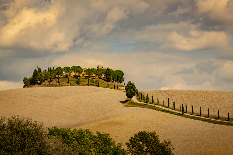 europe, italy, tuscany, pienza, siena, villa, wine, grapes, fields, sunset, clouds, valley, val d'orchia, sunrise, cypress, trees...