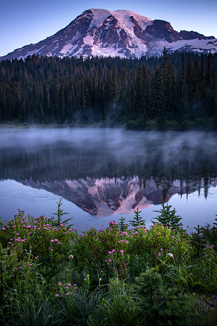 washington, wa, mt rainier, reflection lake, wildflowers, cascades, cascade, mountains, water, lakes, sunrise, reflection