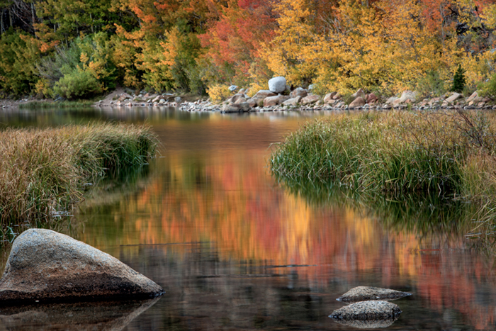 Sierra, fall. color, fall colors, mountains, trees, landscape, Bishop, aspens, california, north lake, reflections