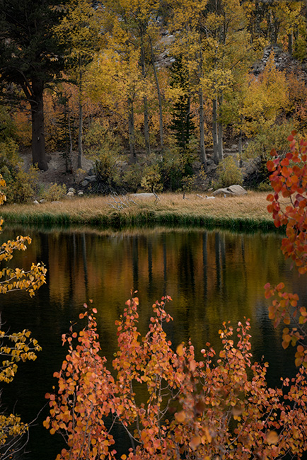 eastern sierra, sierra, aspens,  bishop creek, north lake,, fall, ca, california, trees, water, mountains, reflection, fall colors...