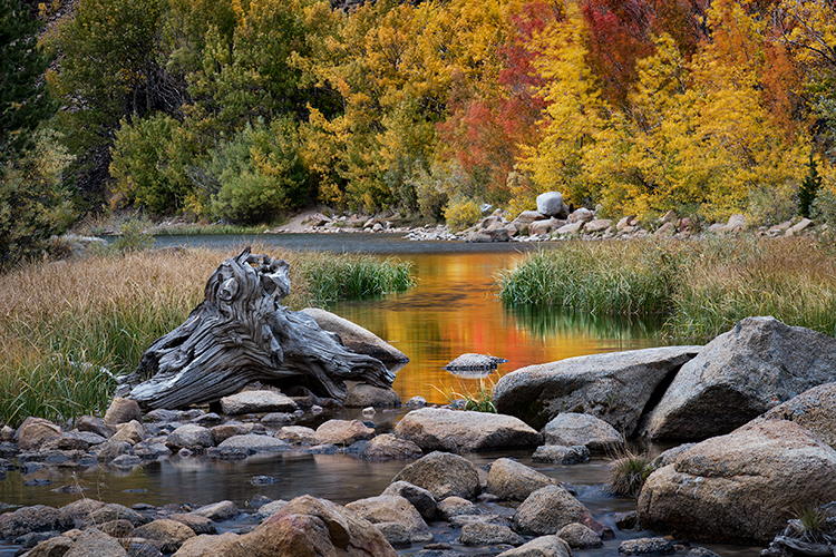 eastern sierra, sierra, aspens,  bishop creek, South fork, fall, ca, california, trees, water, mountains, fall colors, bishop