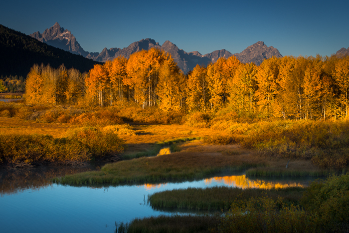 mountains, Wyoming, wy, jackson, Tetons, Grand Teton Park, landscape, Fall, trees, aspens, fall color, snake river, oxbow bend...