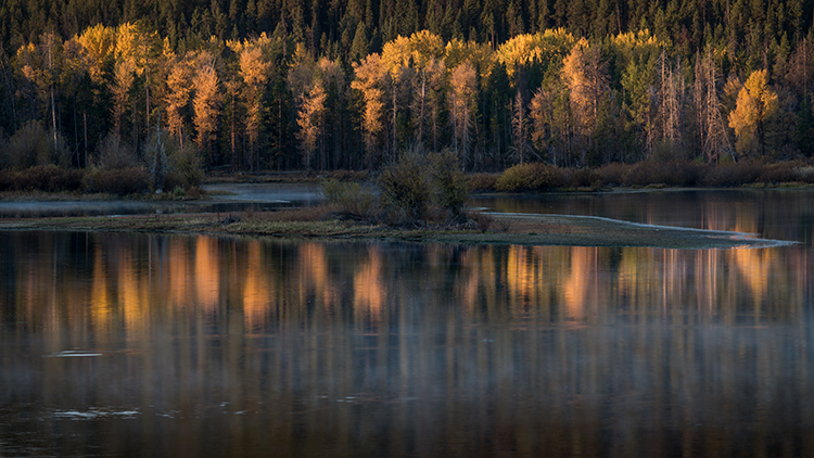 mountains, Wyoming, wy, Tetons, Grand Teton Park, landscape, Fall, trees, aspens, fall color, jackson, oxbow bend, sunrise, snake...