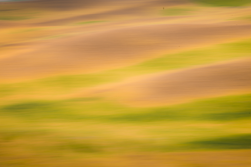 farms, fields, plants, palouse, WA, blur, impressions, landscape