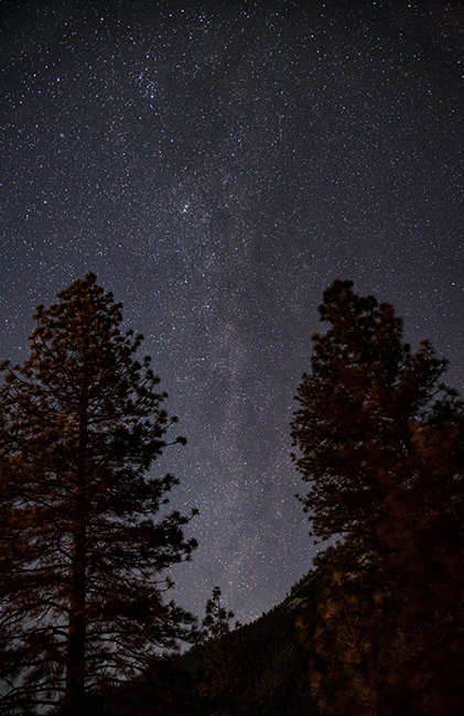 yosemite, national park, sierra, valley, fall, trees, merced, flora, mountains, leaves, ca, colors, merced river, merced, maples...