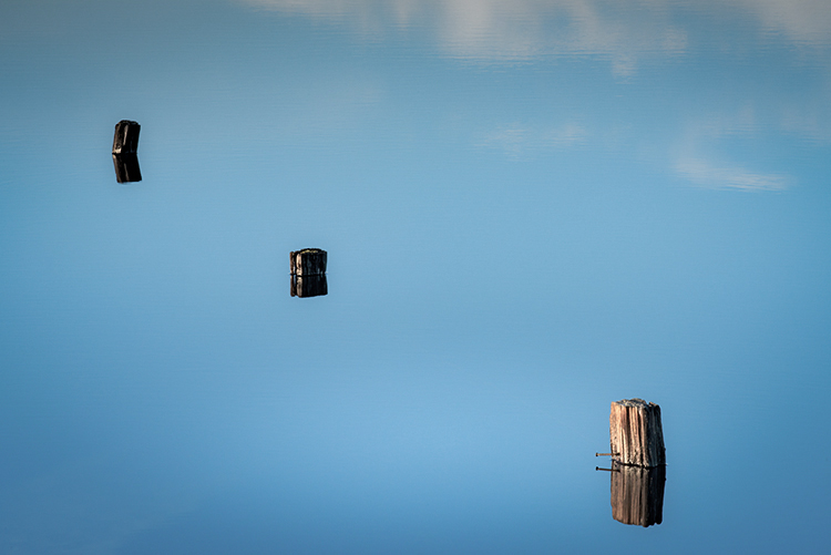 Posts & Pond Reflections