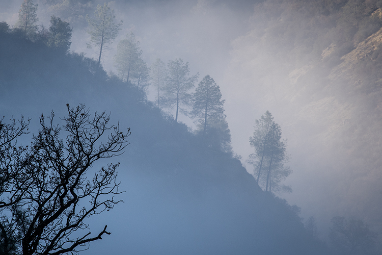 Yosemite National Park, yosemite, ca, trees, sierra, winter, fog, mountains, valley