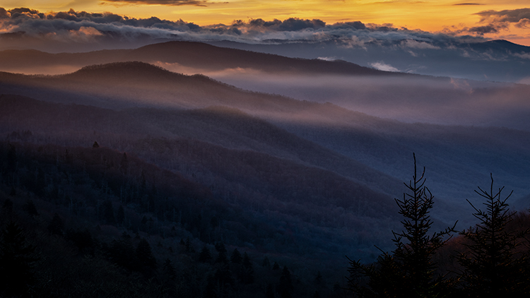 Great Smoky Mountains, smokies, smokys, Tennessee, tn, north carolina, nc, spring, mountains, fog, trees, sunrise, mornings