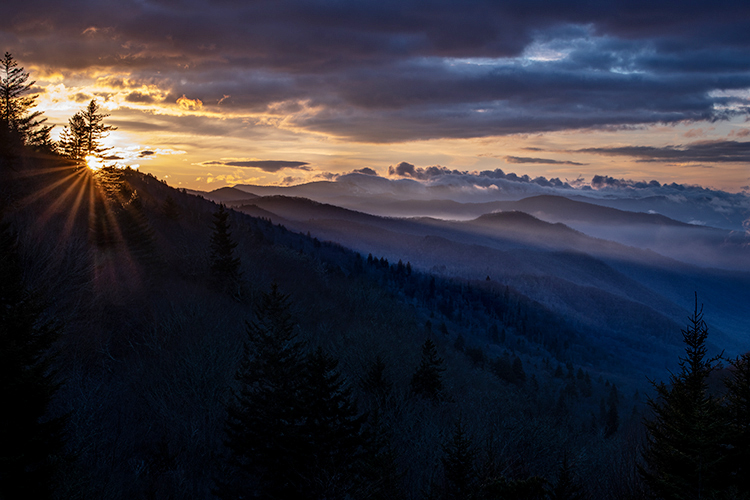 Great Smoky Mountains, smokies, smokys, Tennessee, tn, north carolina, nc, spring, mountains, fog, trees, sunrise, mornings