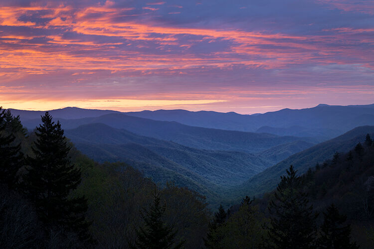 Blue Ridge Parkway, north carolina, Appalachia, smoky, mountains, trees, colors, south, sunset, fog
