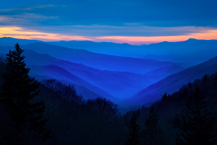 Great Smoky Mountains, smokies, smokys, Tennessee, tn, north carolina, nc, spring, mountains, fog, trees, sunrise, mornings