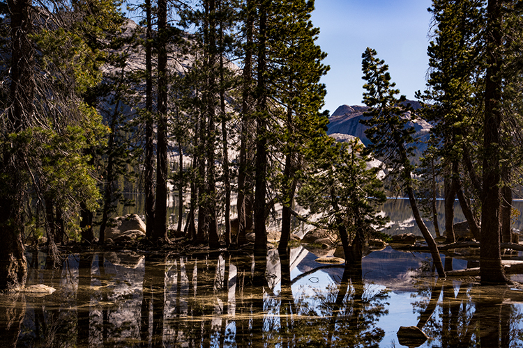 yosemite, national park, tenaya lake, tenaya, lake, reflections, ca, california, sierra, mountains, sunrise, clouds, water, high...
