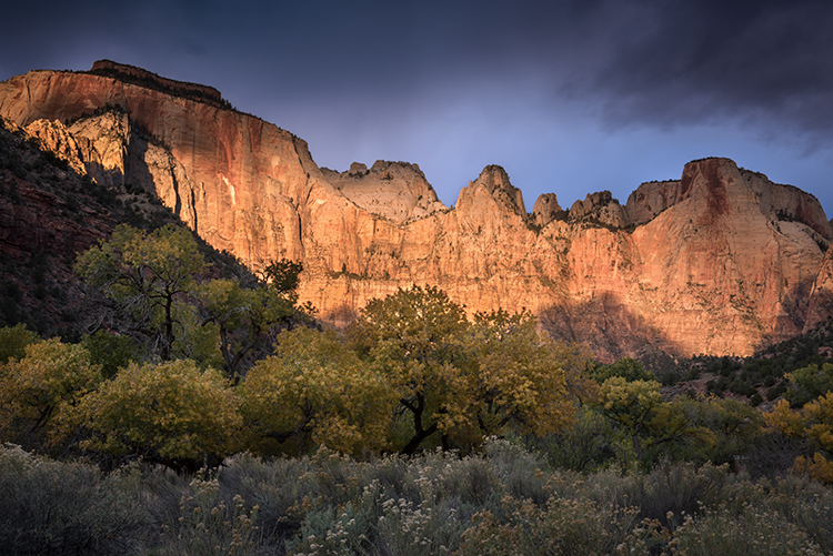 zion, zion national park, mountains, southwest, utah, maples, fall colors, fall, temple, towers,  sunrise, alpine glow,