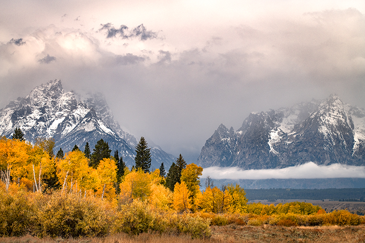 grand teton national park, tetons, snake river, snake, river, mountains, trees, water, color, aspens, clouds, meadows, fall...