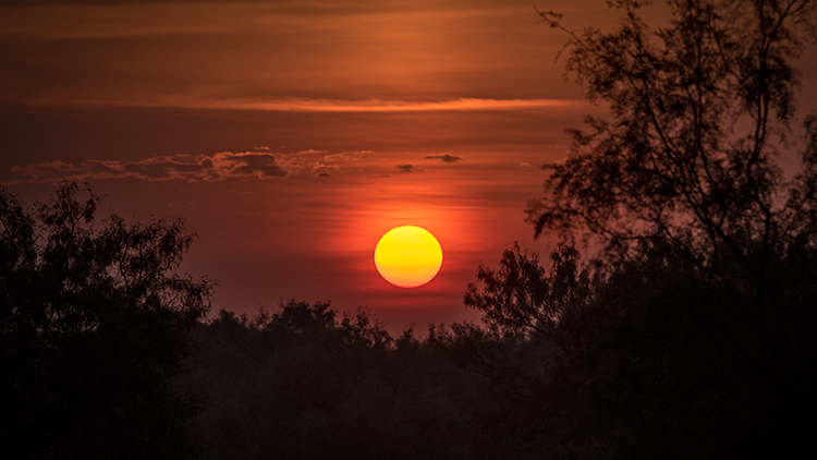 texas, tx, wichita falls, sunrise, fog