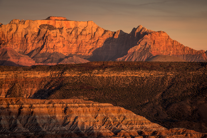 trees, fall, fall color, zion, mountains, utah, ut, southwest, virgin, river, virgin river,  cottonwoods, twilight, sunset, towers...