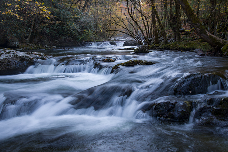 great smoky national park, smokys, mountains, fall, water, nc, tn, north carolina, tennessee, maples, colors, national, park...