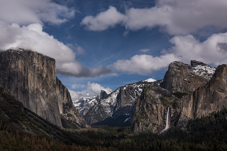 red bud, trees, merced river, yosemite national park, mountains, water, sierra, merced, ca, bridalveil falls, water falls, waterfalls...