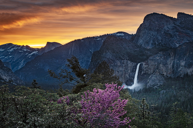 yosemite national park, yosemite,  merced river, valley, spring, flora, sierra, yosemite valley, water, sunrise, half dome, bridalveil...