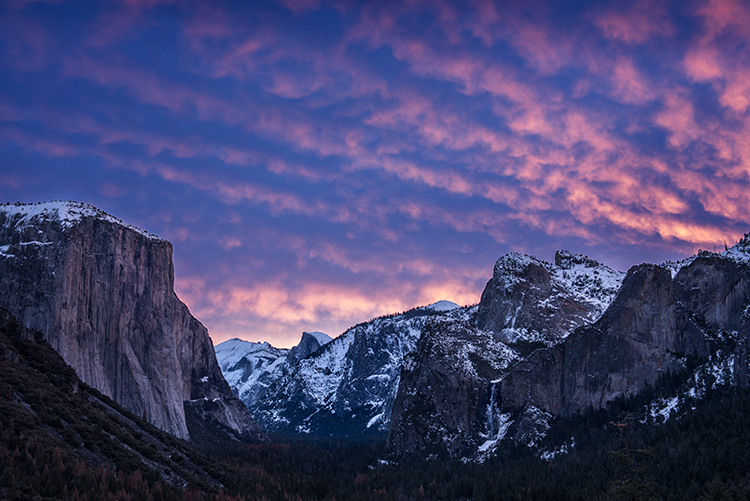 yosemite national park, yosemite, sierra, mountains, trees, black oaks, winter, fall, forest, el capitan, half dome, tunnel view...