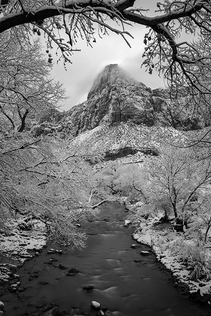 Zion, Zion National Park, ut, utah, red rock, trees, fall, colorado plateau, southwest, mountains, sandstone, zion canyon, weeping...