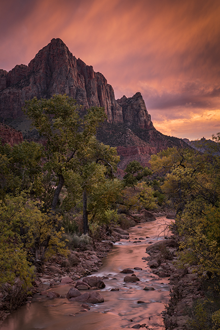 zion, zion national park, mountains, southwest, utah, maples, fall colors, fall, watchman, river, virgin, sunset, alpine glow...