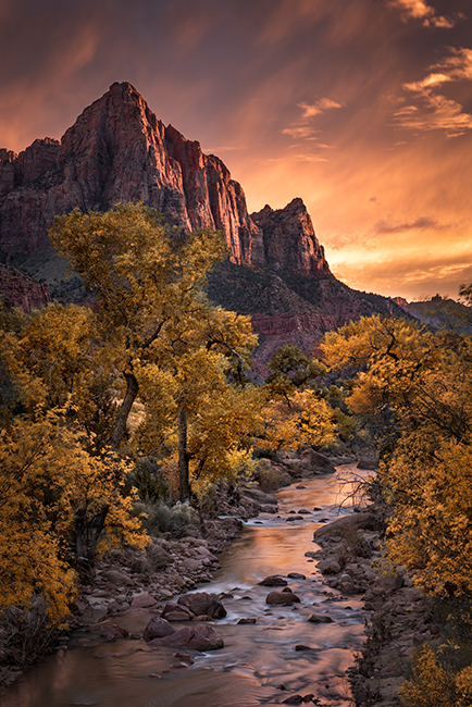 zion, zion national park, mountains, southwest, utah, maples, fall colors, fall, watchman, river, virgin, sunset, alpine glow...