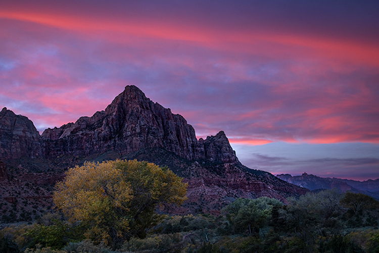 watchman, utah, ut, zion, virgin river, sunset, sunrise, stars, red rock, colorado plateau, southwest, fall, cottonwoods, colors...