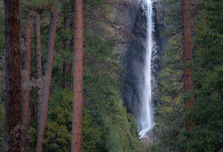 merced river, merced, yosemite, valley, mountains, sierra, trees, sunrise, light, black oak, fall, ca, california, water, trees...