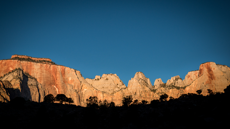 trees, fall, fall color, zion, mountains, utah, ut, southwest, virgin, river, virgin river,  cottonwoods, twilight, sunrise...